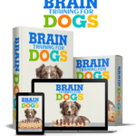 Unlock Your Dog’s Hidden Potential with Brain Training for Dogs