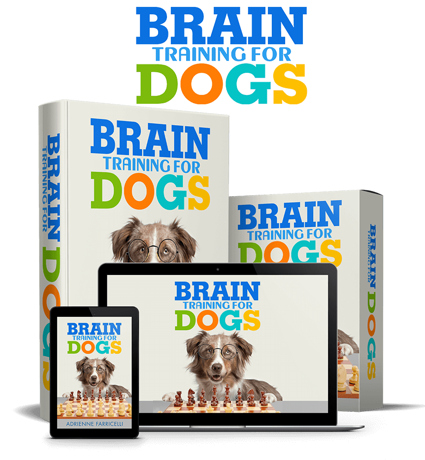 Unlock Your Dog’s Hidden Potential with Brain Training for Dogs